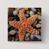Starfish op Rocks Vierkante Button 5,1 Cm (Voorkant)