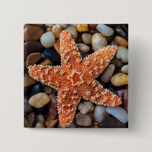 Starfish op Rocks Vierkante Button 5,1 Cm (Voorkant)