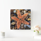 Starfish op Rocks Vierkante Klok (Huis)