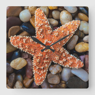 Starfish op Rocks Vierkante Klok