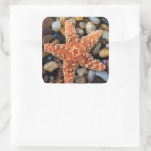 Starfish op Rocks Vierkante Sticker (Tas)