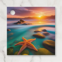 Starfish op strand op Dawn
