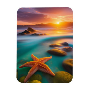 Starfish op strand op Dawn Magneet