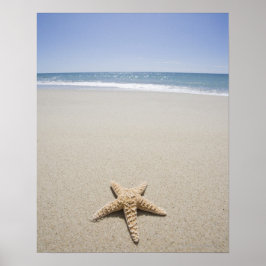Starfish op strand van de Atlantische Oceaan Poster