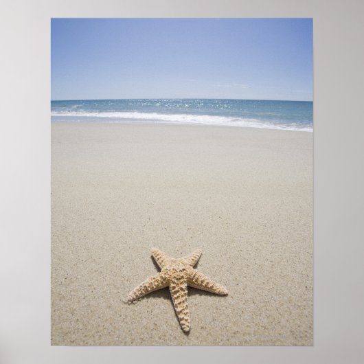 Starfish op strand van de Atlantische Oceaan Poster (Voorkant)