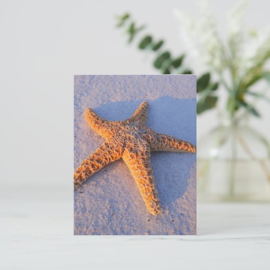 Starfish op witte zand briefkaart (Staand voorkant)