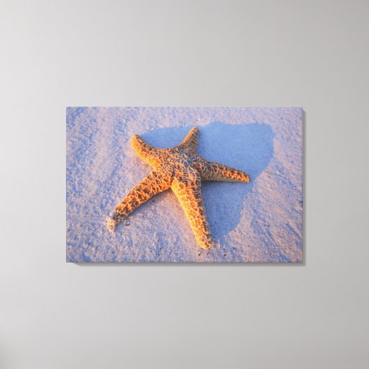 Starfish op witte zand canvas afdruk (Voorkant)