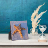 Starfish op witte zand fotoplaat (Insitu)