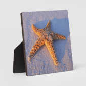 Starfish op witte zand fotoplaat (Voorkant)
