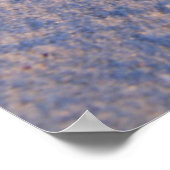 Starfish op witte zand poster (Hoek)