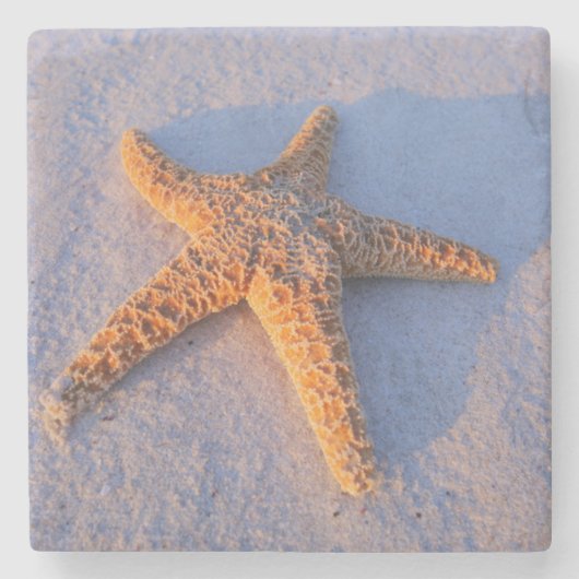 Starfish op witte zand stenen onderzetter (Voorkant)
