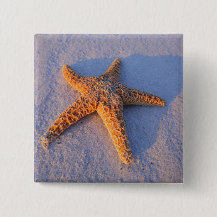 Starfish op witte zand vierkante button 5,1 cm
