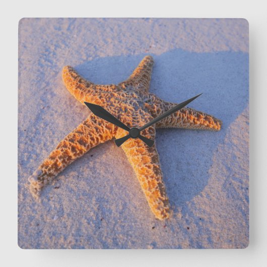 Starfish op witte zand vierkante klok (Voorkant)