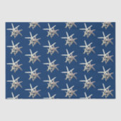 Starfish Pattern Navy Blue Tissuepapier (Voorkant)