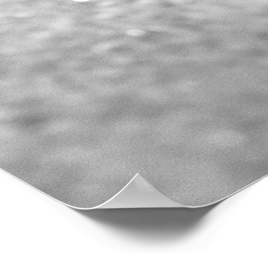 Starfish Poster (Hoek)