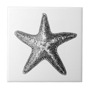 "STARFISH" SEALIFE CERAMIC-TEGEL TEGELTJE