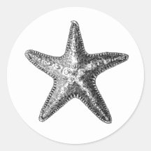 "STARFISH" SEALIFE ENVELOPE SEAL STICKER
