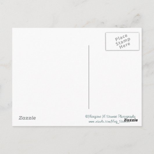 Starfish Serenity Prayer Briefkaart (Achterkant)