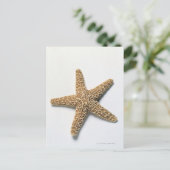 Starfish shell op witte achtergrond briefkaart (Staand voorkant)