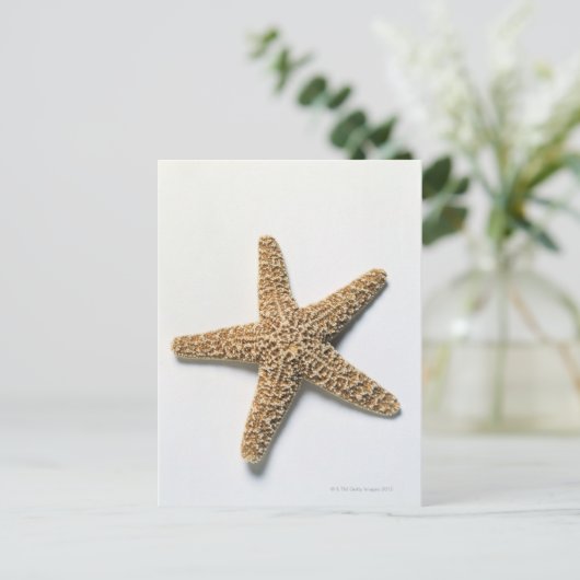 Starfish shell op witte achtergrond briefkaart (Staand voorkant)
