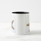 Starfish shell op witte achtergrond mok (Midden)