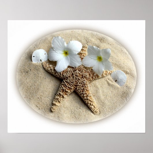 Starfish Shells Plumeria op Sand Poster (Voorkant)