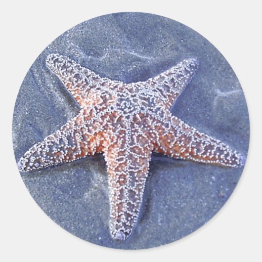 Starfish Sticker (Voorkant)