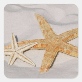 Starfish Sticker