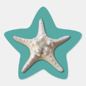 Starfish Sticker (Voorkant)