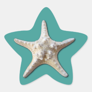 Starfish Sticker