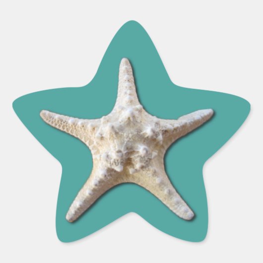 Starfish Sticker (Voorkant)