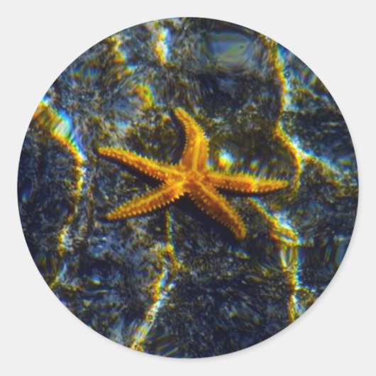 Starfish Stickers (Voorkant)
