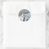 Starfish Stickers (Tas)