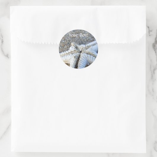 Starfish Stickers (Tas)