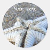 Starfish Stickers (Voorkant)