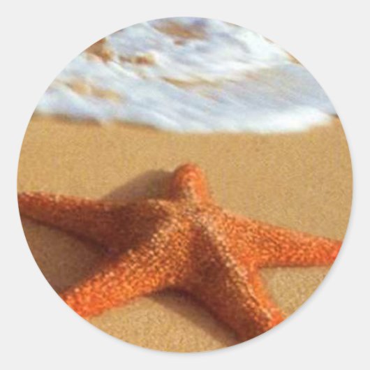 Starfish Stickers (Voorkant)
