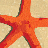 Starfish strand zand water lege Kaart