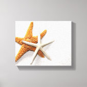 Starfish Stretted Canvas Print (Voorkant)