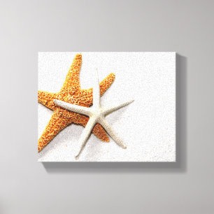 Starfish Stretted Canvas Print