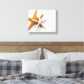 Starfish Stretted Canvas Print (Insitu (Slaapkamer))