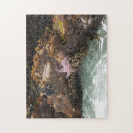Starfish Tidepool Legpuzzel