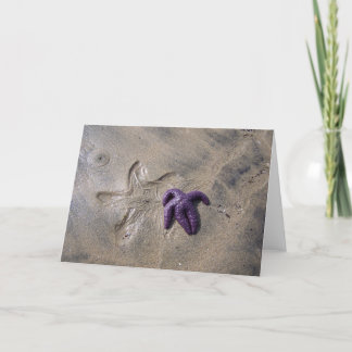 Starfish Tracks Kaart