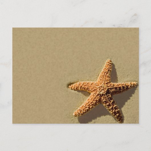 Starfish Tropical Event Beach Weduwuitnodiging Briefkaart (Voorkant)