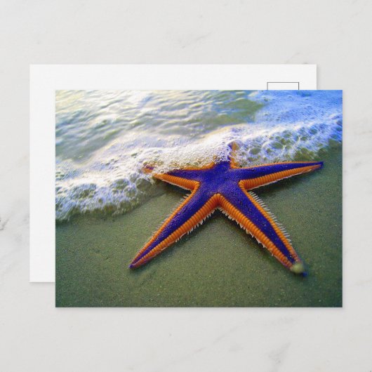 Starfish Tropical Sandy Beach Zee Wave Briefkaart (Voorkant / Achterkant)