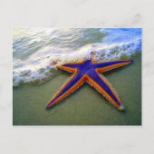 Starfish Tropical Sandy Beach Zee Wave Briefkaart (Voorkant)