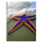 Starfish Tropical Sandy Beach Zee Wave Notitieboek (Voorkant)