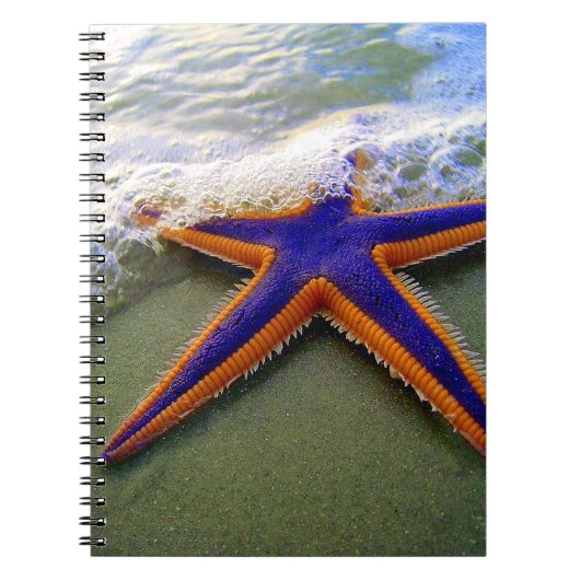 Starfish Tropical Sandy Beach Zee Wave Notitieboek (Voorkant)