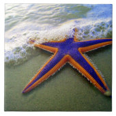Starfish Tropical Sandy Beach Zee Wave Tegeltje (Voorkant)
