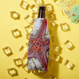 Starfish, Zanzibar, Tanzania Flesjeskoeler