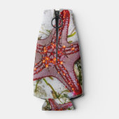 Starfish, Zanzibar, Tanzania Flesjeskoeler (Achterkant)